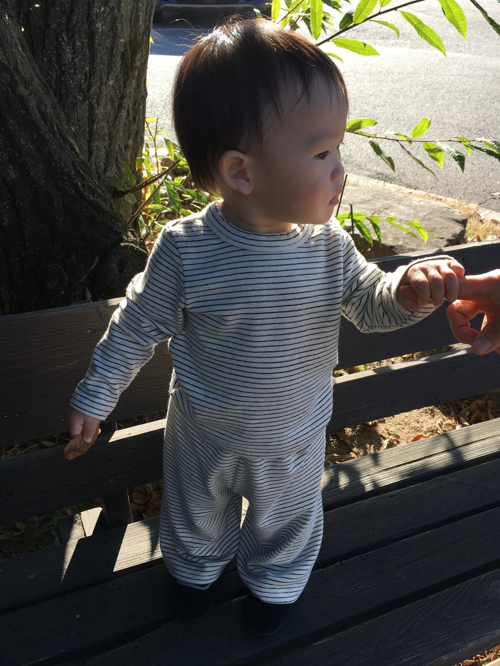 IMG_9513.jpeg